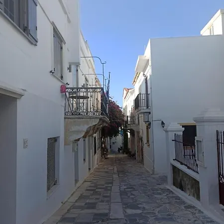Bougainvillea Tinos